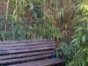 Jar No 18 - in situ