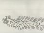 Envelopes